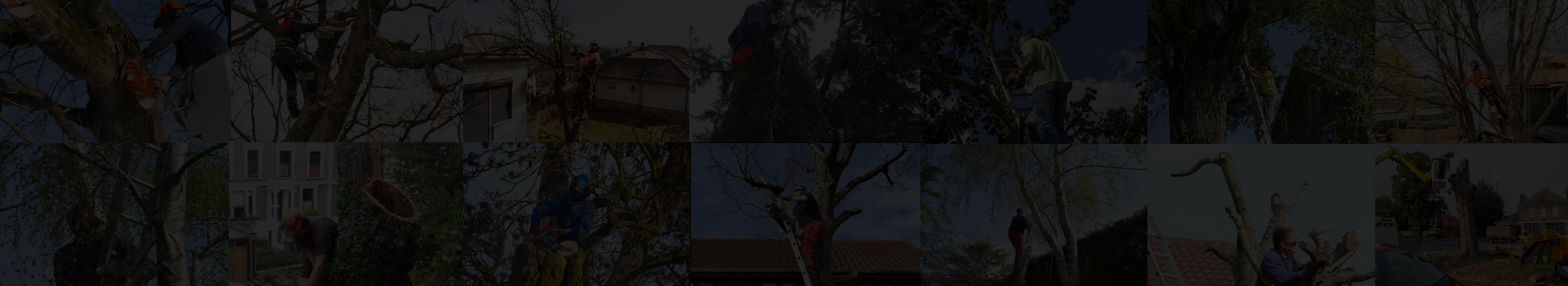 /assets/images/47f9d0f39718e99598b14e898568e38c.svg